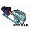 DR22化工水泥建材罗茨鼓风机