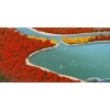 提供烟台旅游
