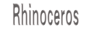 Rhinoceros（犀牛电视机）