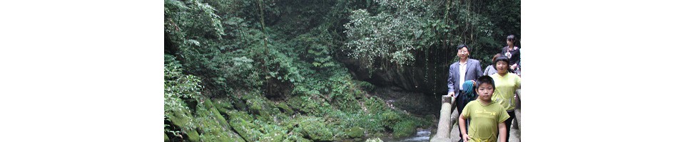 新华文学-呼啸生涯-丹门春秋-引子